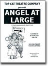 Angel at Large